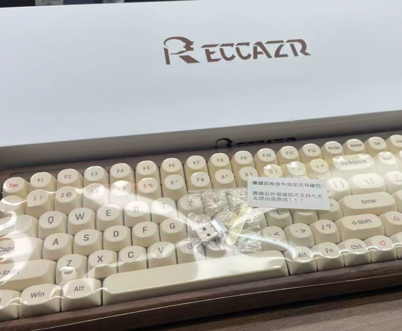 RECCAZR R100 Benutzerdefiniert – Retro Gaming Uk Bewertung und Preis